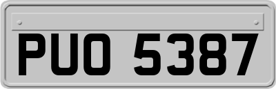 PUO5387