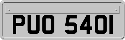 PUO5401