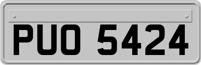 PUO5424