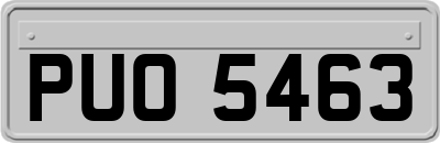 PUO5463