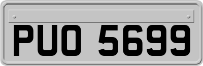 PUO5699