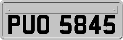 PUO5845