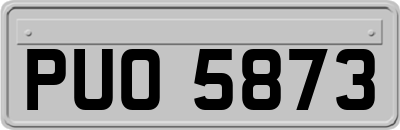 PUO5873