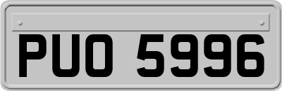 PUO5996