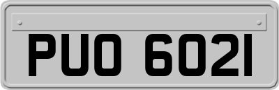 PUO6021