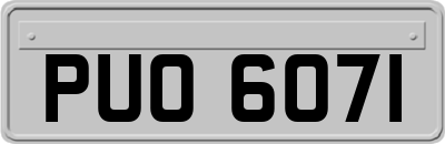 PUO6071