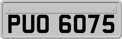 PUO6075