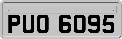 PUO6095