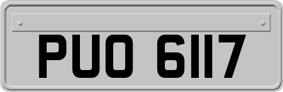 PUO6117