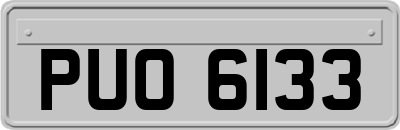 PUO6133