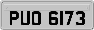 PUO6173