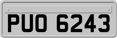 PUO6243