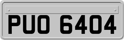 PUO6404