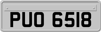 PUO6518