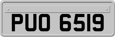 PUO6519
