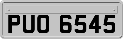 PUO6545