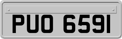 PUO6591
