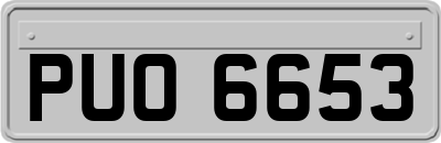 PUO6653