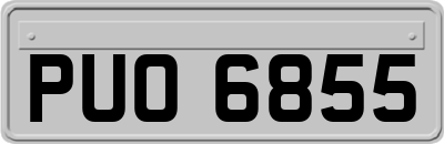 PUO6855