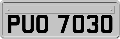 PUO7030
