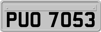 PUO7053