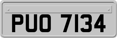 PUO7134