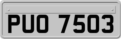 PUO7503