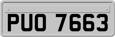 PUO7663