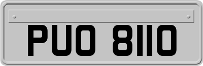 PUO8110