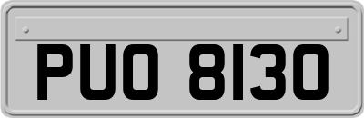 PUO8130