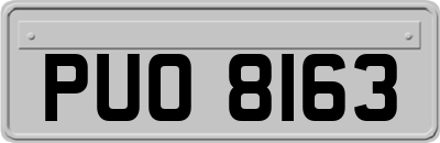 PUO8163