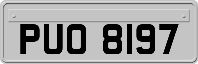 PUO8197