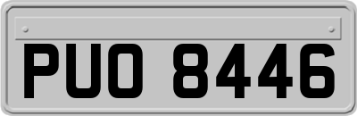 PUO8446