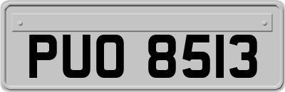PUO8513