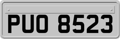 PUO8523