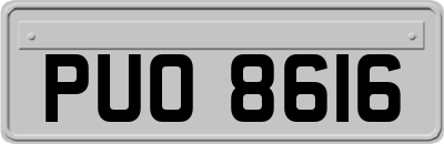 PUO8616
