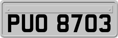 PUO8703