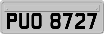 PUO8727