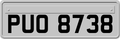 PUO8738