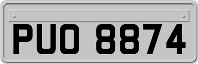 PUO8874