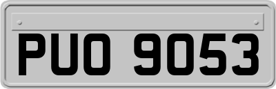 PUO9053