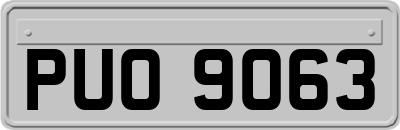 PUO9063