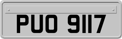 PUO9117