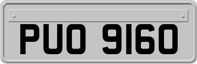 PUO9160