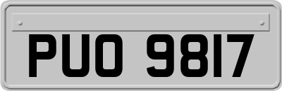 PUO9817