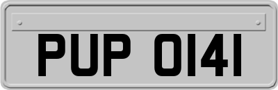 PUP0141