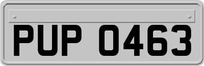 PUP0463