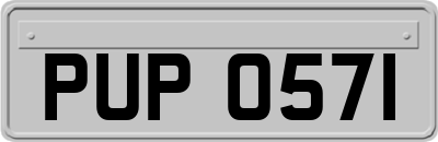 PUP0571