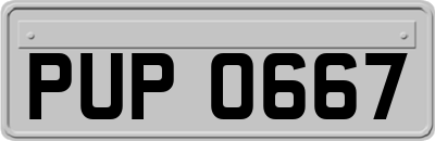 PUP0667