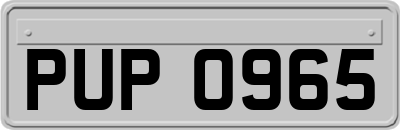 PUP0965